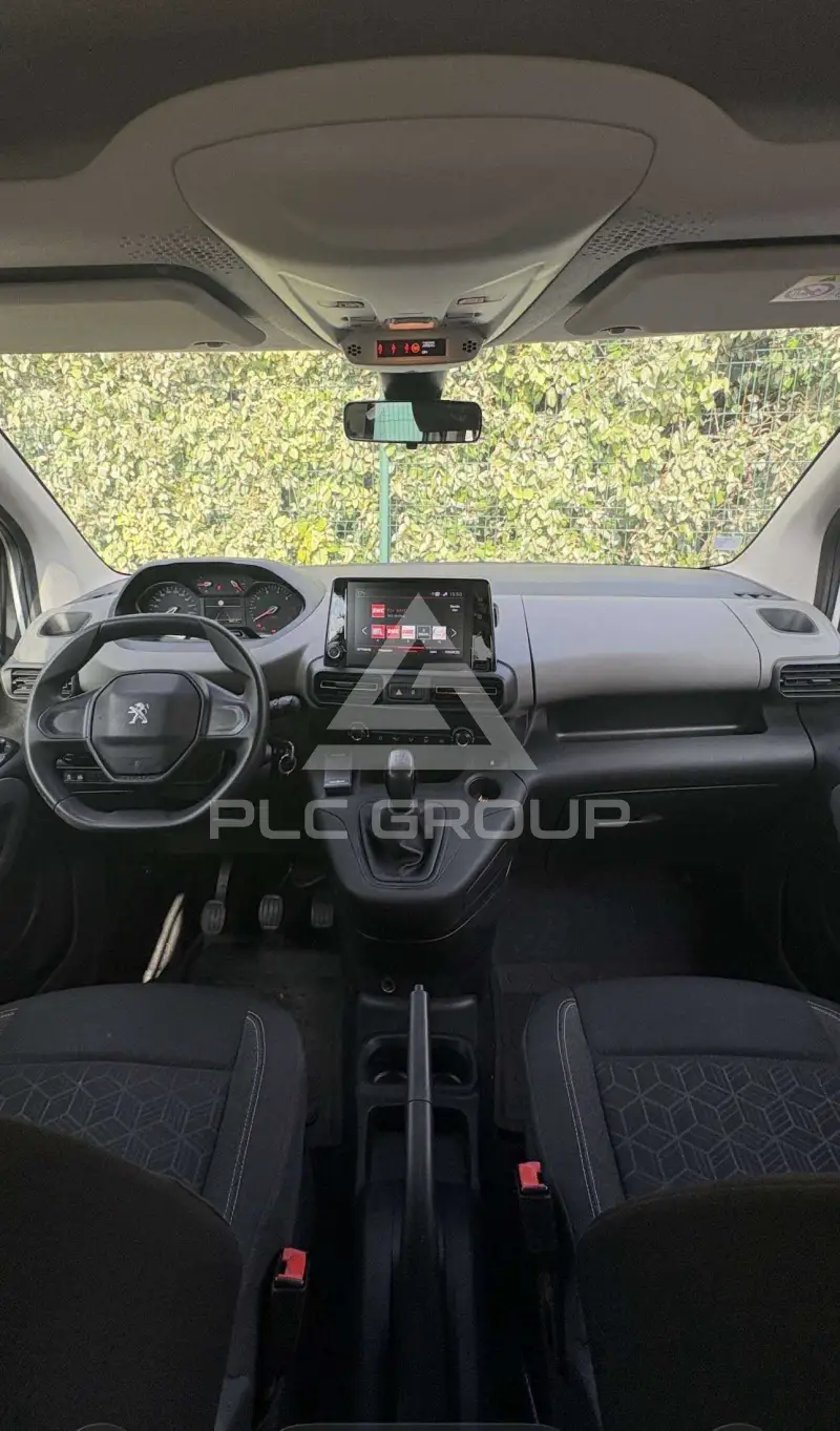 2019 Peugeot Rifter
