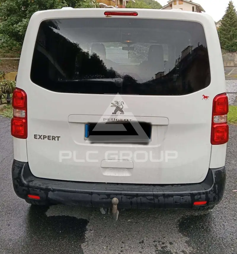 2019 Peugeot Traveller