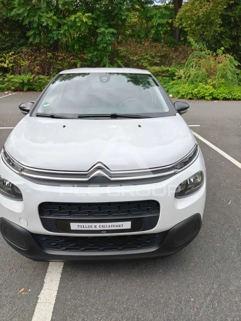 2019 Citroen C3