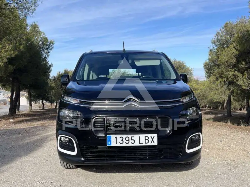 2019 Citroen Berlingo
