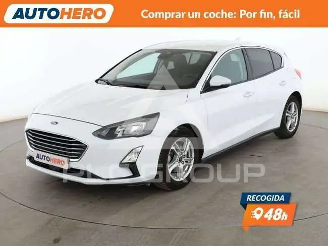 2019 Ford FOCUS