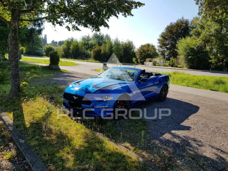 2019 Ford MUSTANG