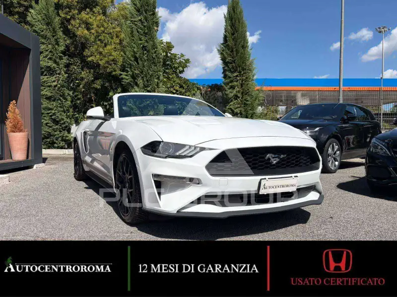 2019 Ford MUSTANG