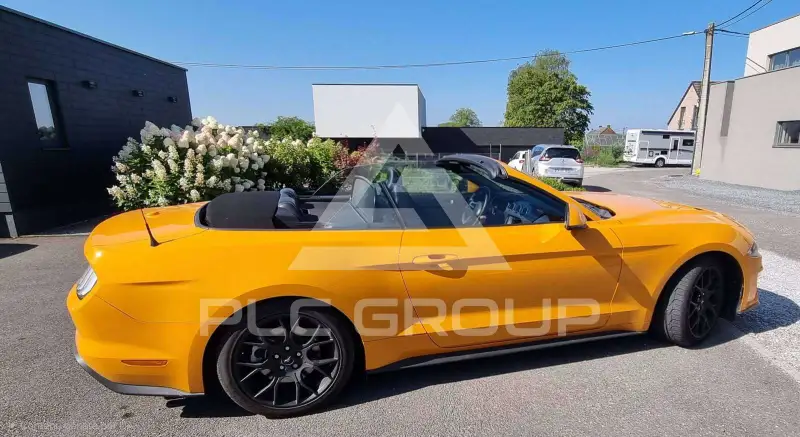 2019 Ford MUSTANG