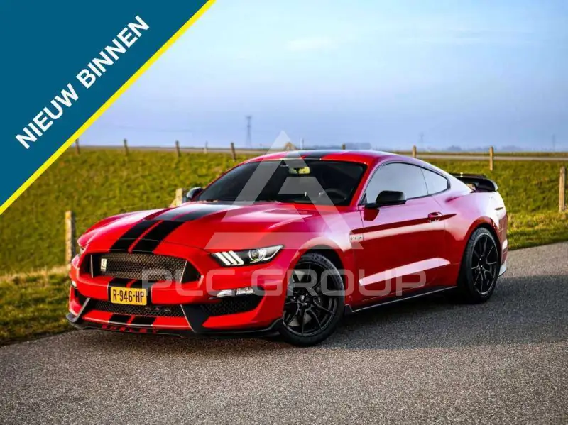 2019 Ford MUSTANG