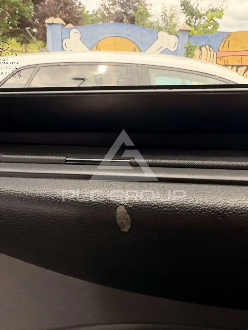 2019 Ford Tourneo