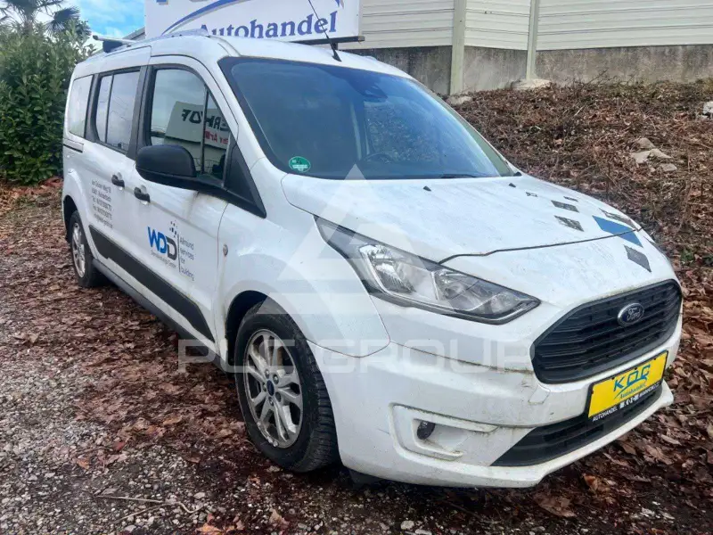 2019 Ford Tourneo