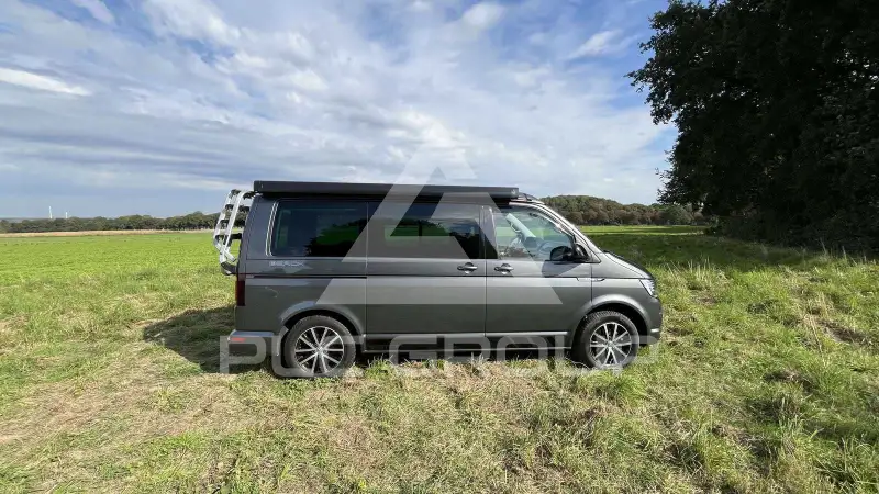 2019 Volkswagen T6