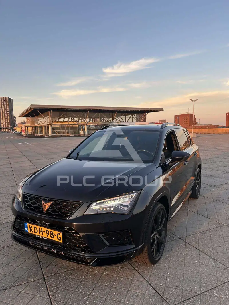 2019 Seat Alteca