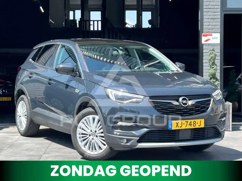 2019 Opel GrandlandX