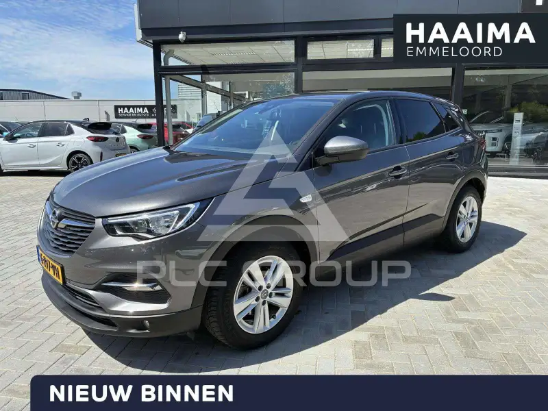 2019 Opel GrandlandX