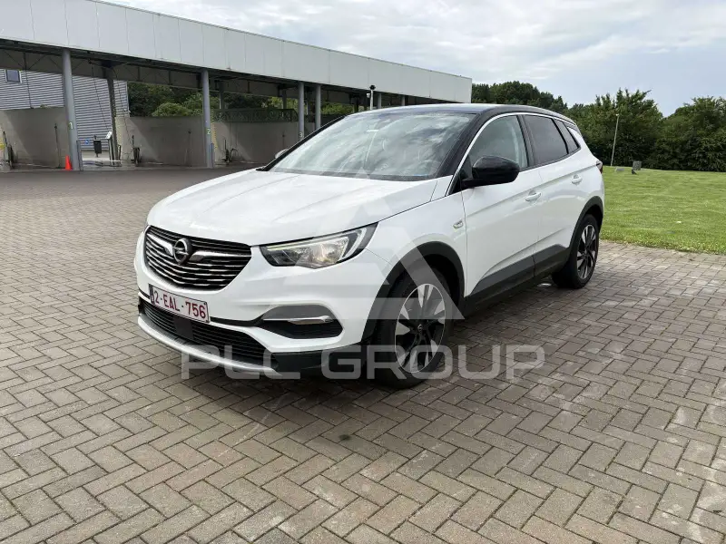 2019 Opel GrandlandX