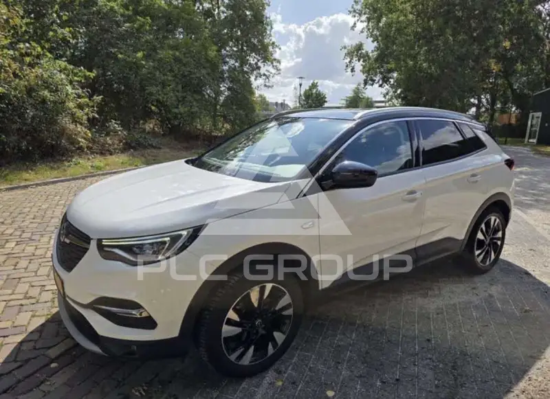 2019 Opel GrandlandX