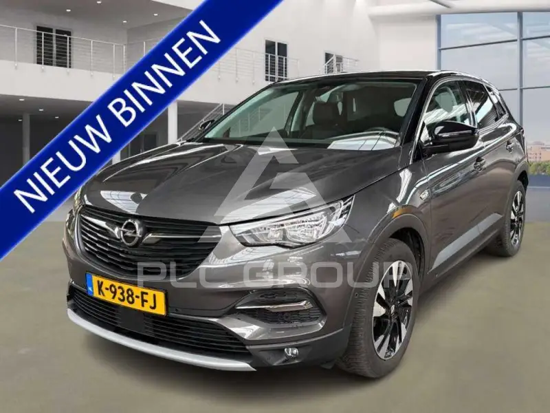 2019 Opel GrandlandX