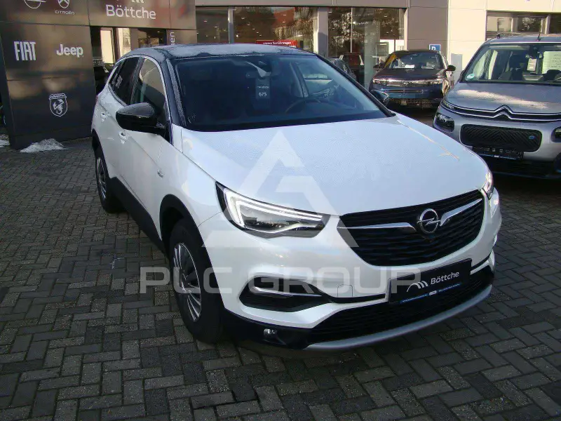 2019 Opel GrandlandX