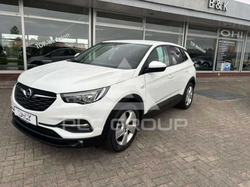 2019 Opel GrandlandX