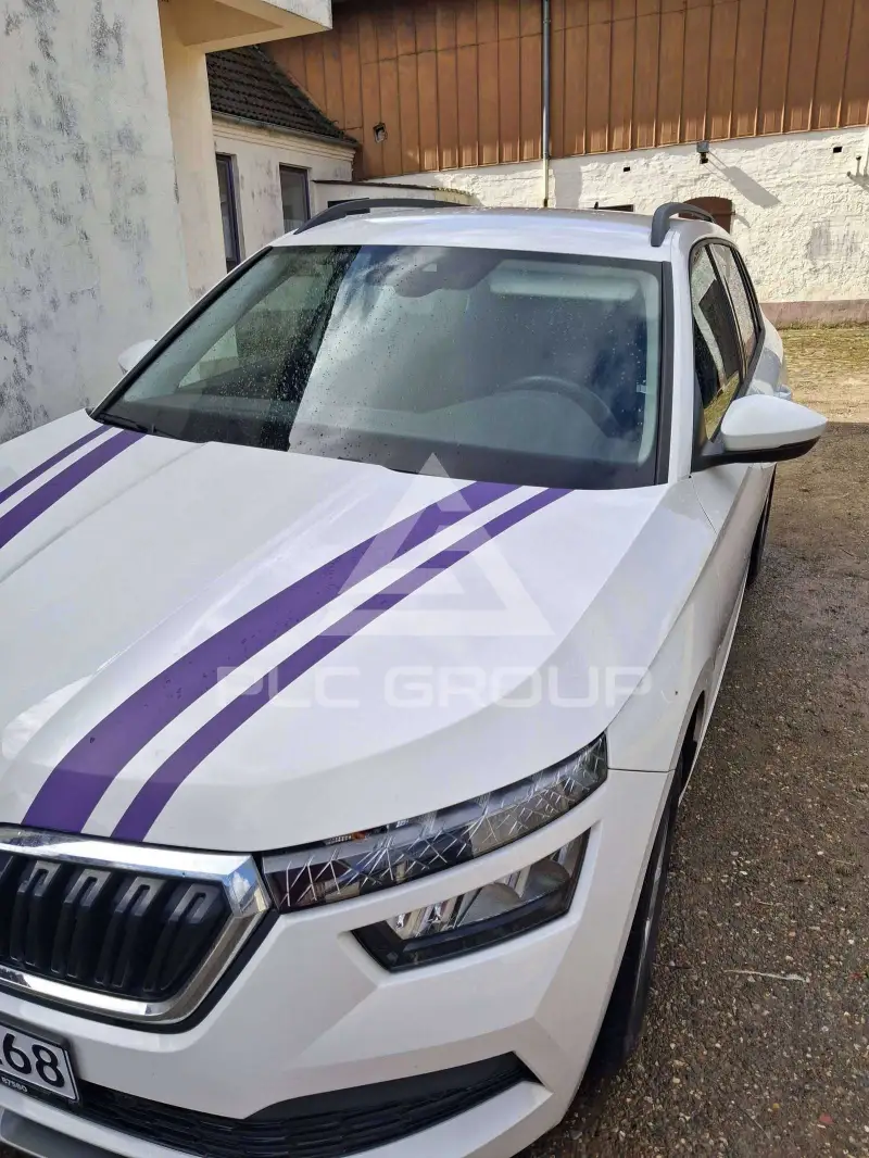 2020 Skoda KAMIQ