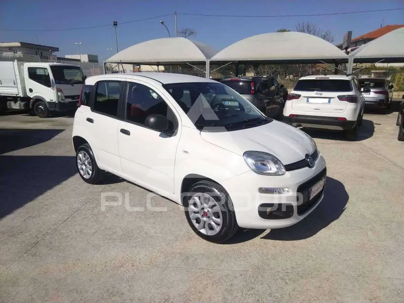 2020 Fiat Panda