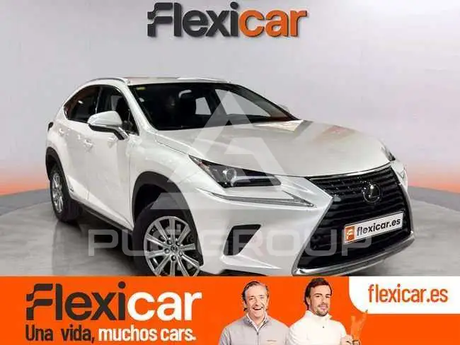 2020 Lexus NX300