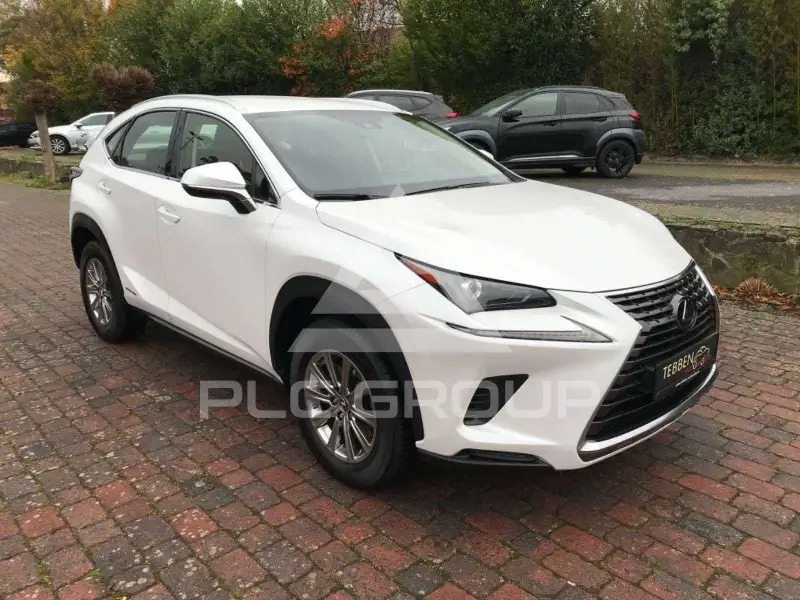 2020 Lexus NX300