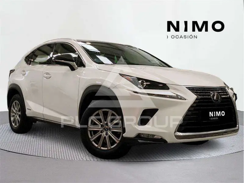 2020 Lexus NX300