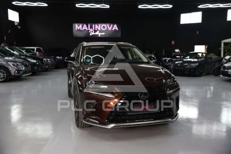 2020 Lexus NX300
