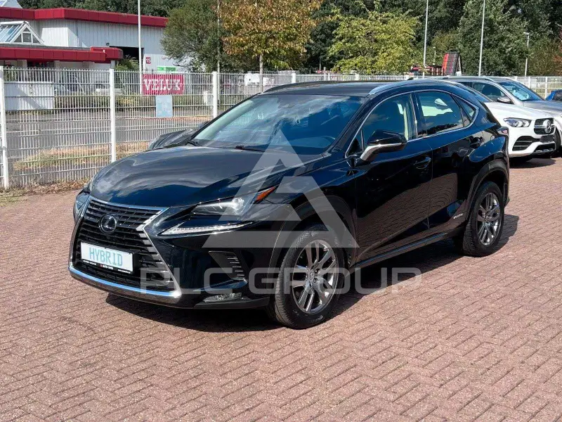 2020 Lexus NX300