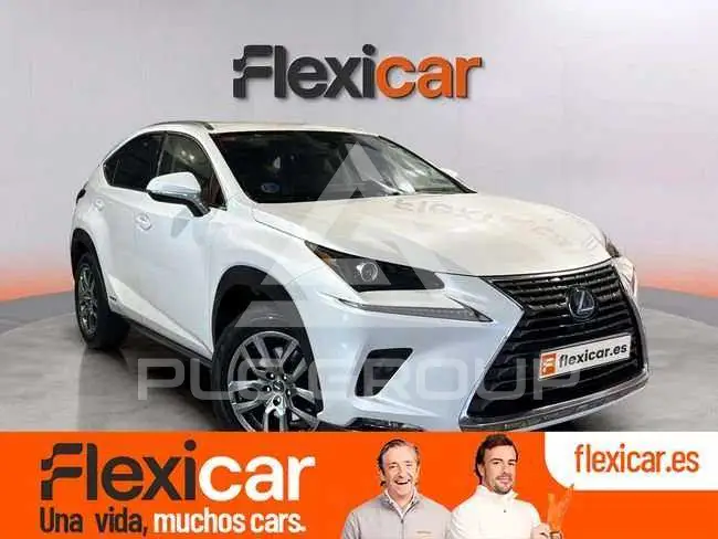 2020 Lexus NX300