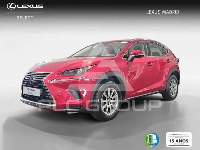 2020 Lexus NX300