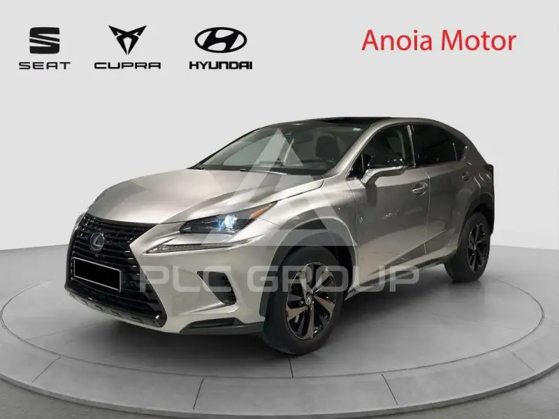 2020 Lexus NX300