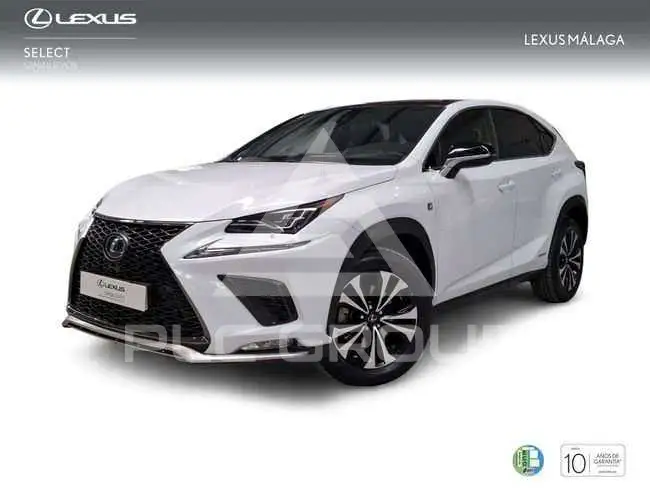 2020 Lexus NX300