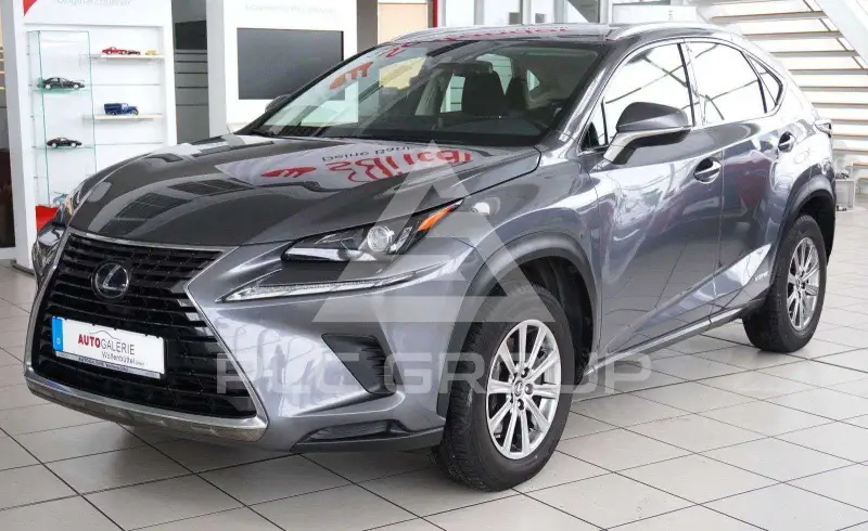 2020 Lexus NX300