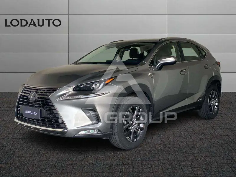 2020 Lexus NX300