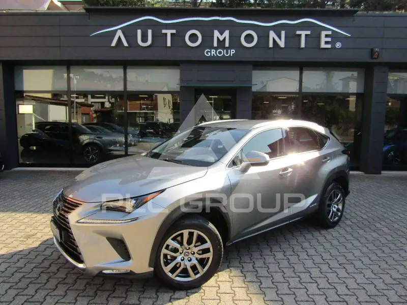 2020 Lexus NX300
