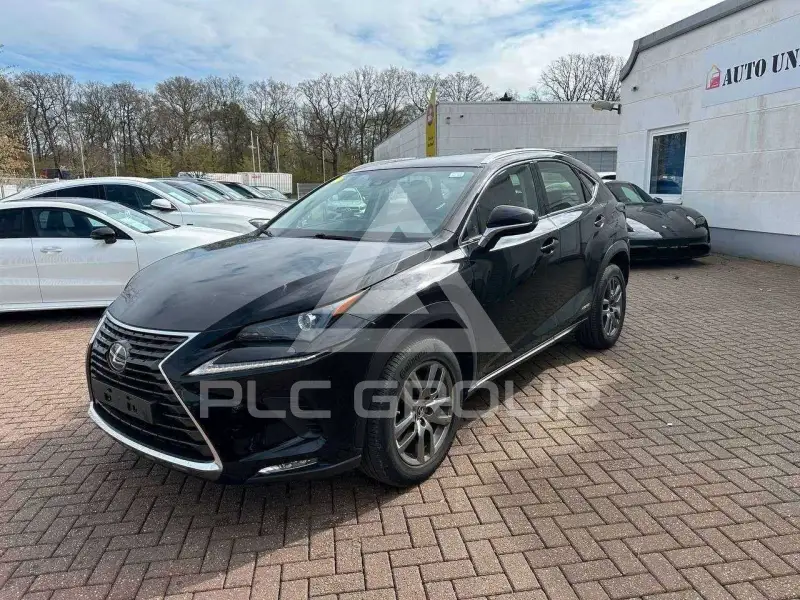 2020 Lexus NX300