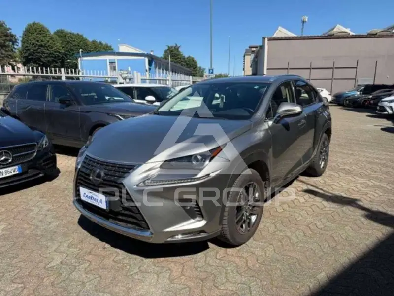 2020 Lexus NX300