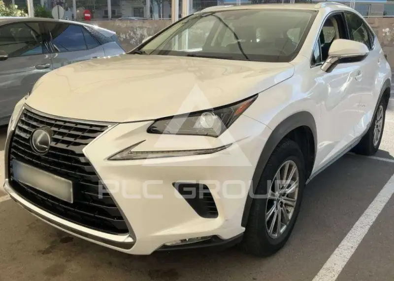 2020 Lexus NX300