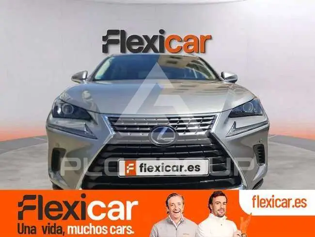 2020 Lexus NX300