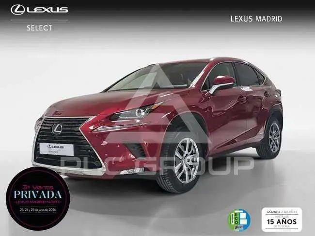 2020 Lexus NX300