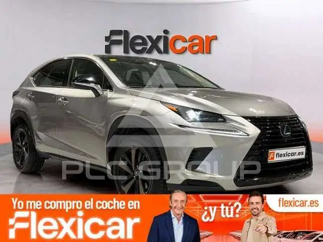 2020 Lexus NX300
