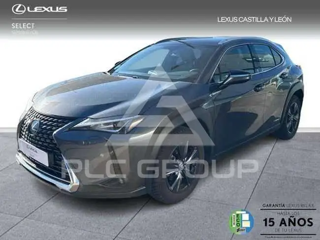 2020 Lexus UX250