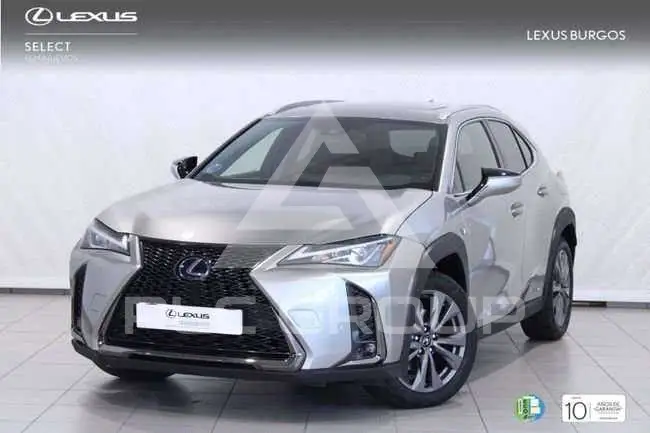 2020 Lexus UX250