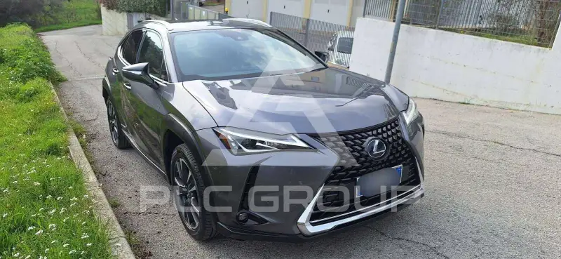 2020 Lexus UX250