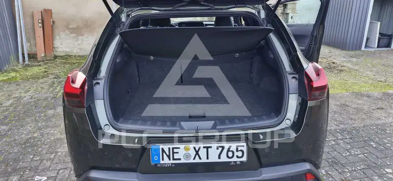 2020 Lexus UX250