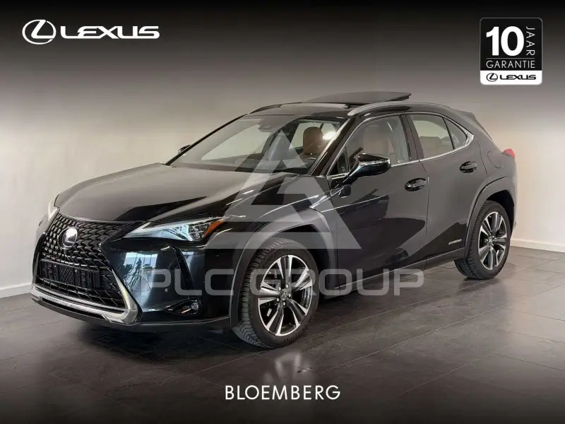 2020 Lexus UX250
