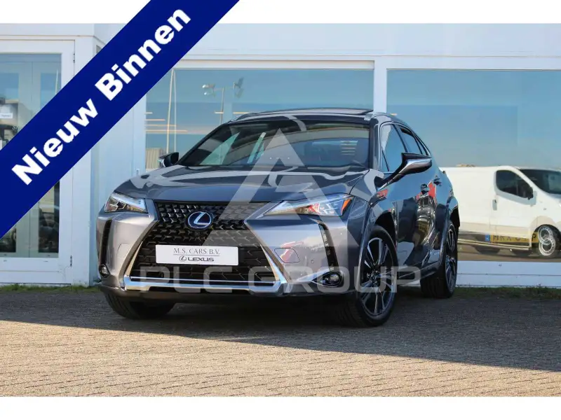 2020 Lexus UX250