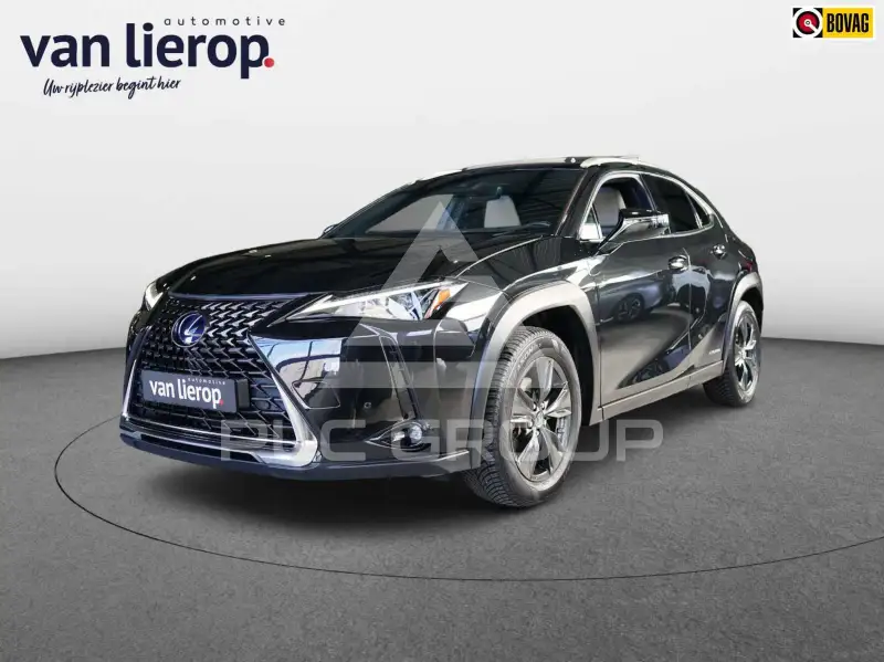 2020 Lexus UX250