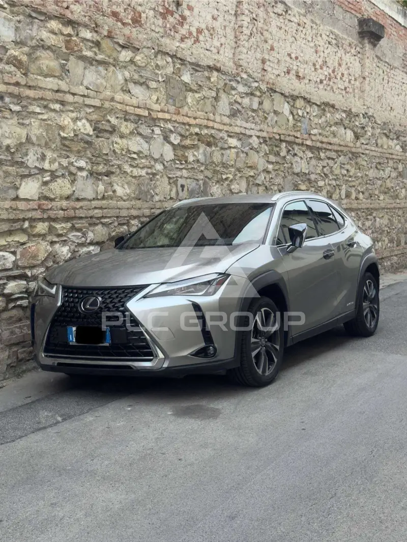 2020 Lexus UX250