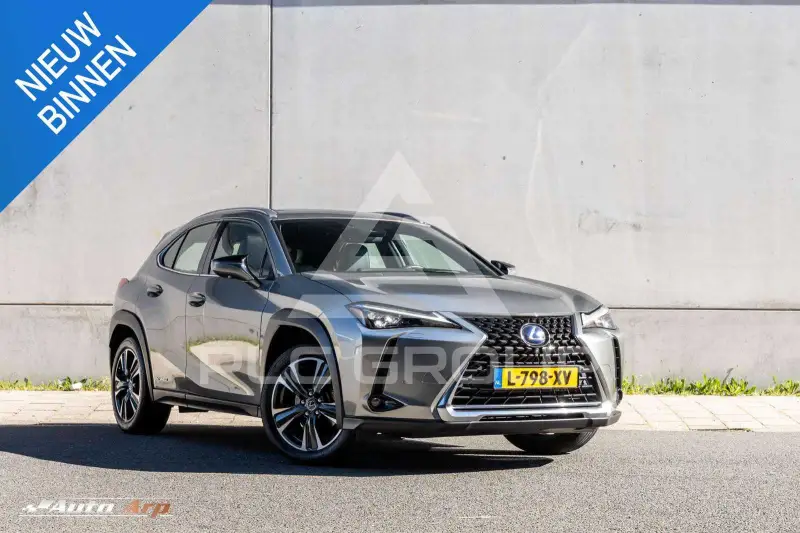 2020 Lexus UX250