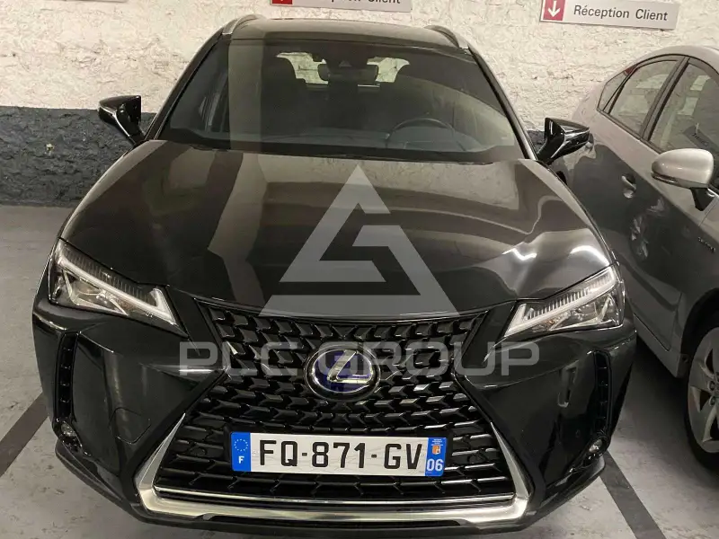 2020 Lexus UX250